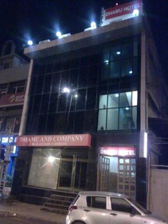 The Dhamu Hotel Jaipur Eksteriør bilde